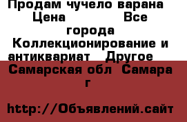 Продам чучело варана › Цена ­ 15 000 - Все города Коллекционирование и антиквариат » Другое   . Самарская обл.,Самара г.